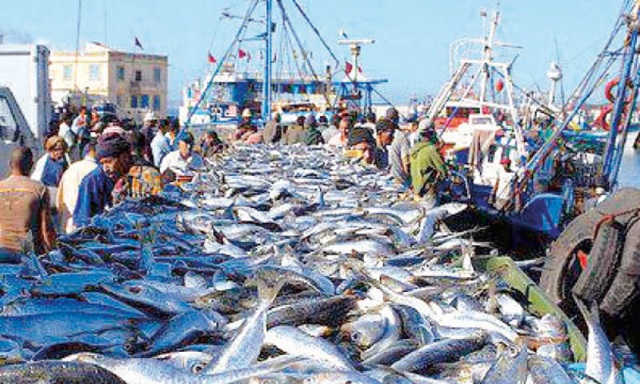 مفاوضات السمك: المغرب يشترط «موقفا حاسما» من الاتحاد الأوروبي تجاه الصحراء المغربية - AgadirToday