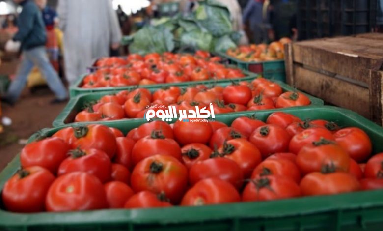 أسعار الطماطم تنخفض في سوق الجملة بإنزكان - AgadirToday