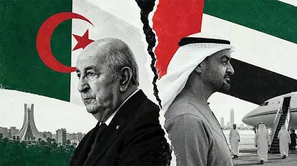 قرقاش يرد على قرار الجزائر قطع العلاقات مع الإمارات: الدبلوماسية تقوم على الحكمة ووضوح المصالح - اكادير اليوم